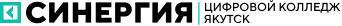 Synergy Logo